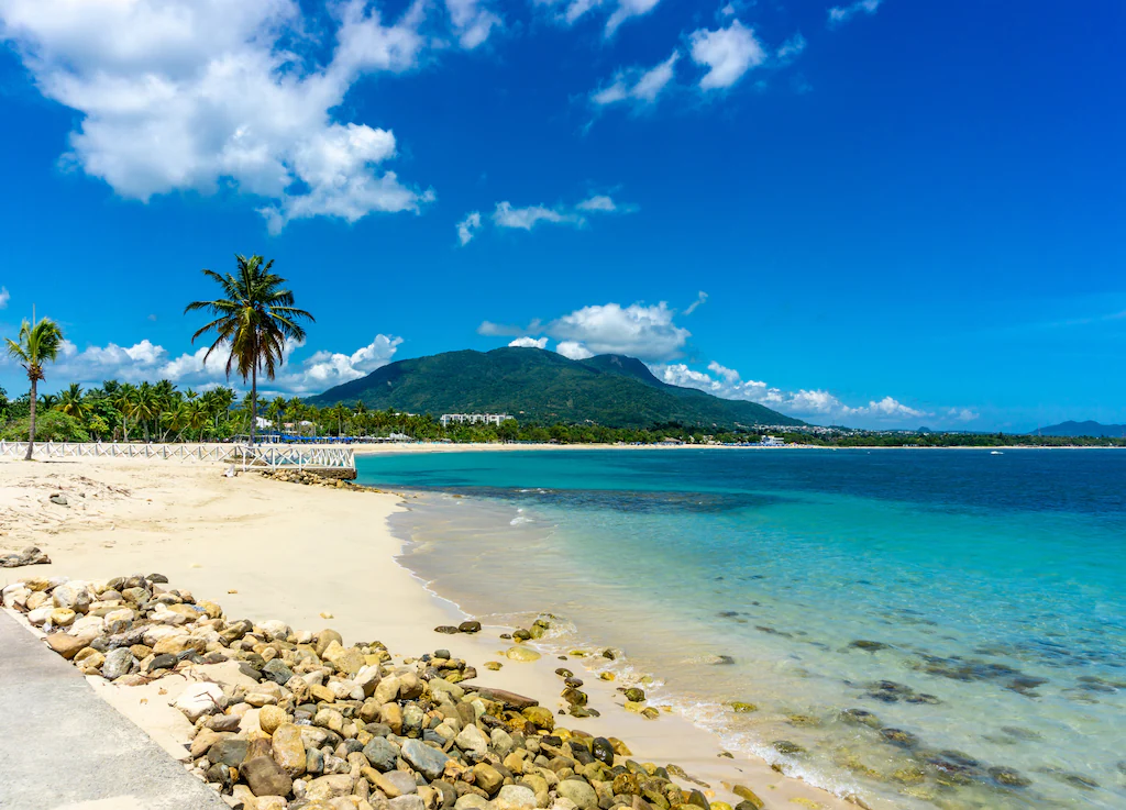Tropical beach with palm trees and turquoise water